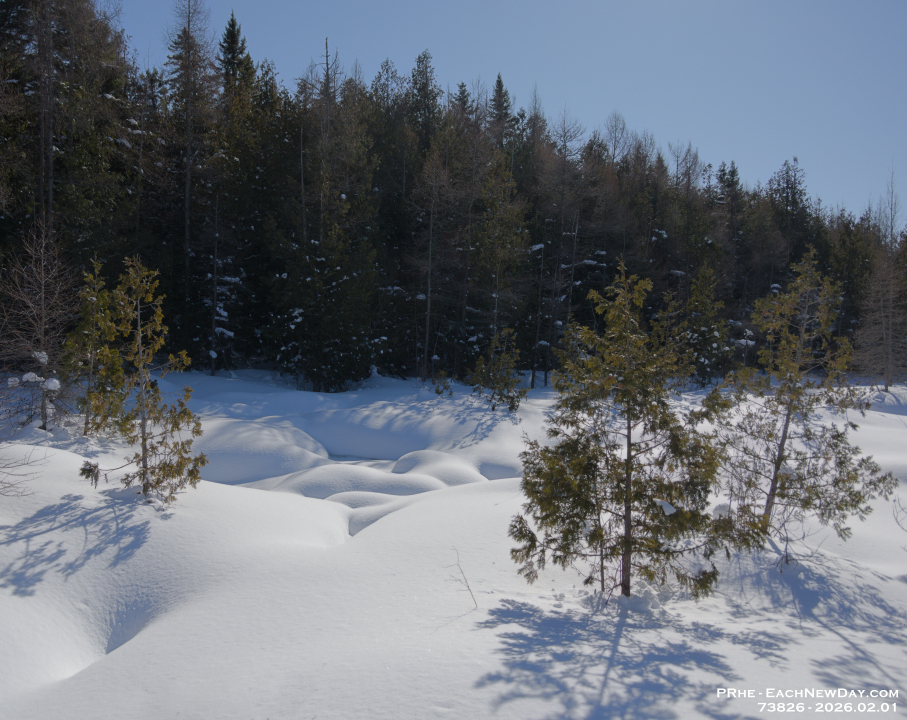 73826ReCrLe - A lovely Sunday afternoon walk with Beth at the George Langman Sanctuary